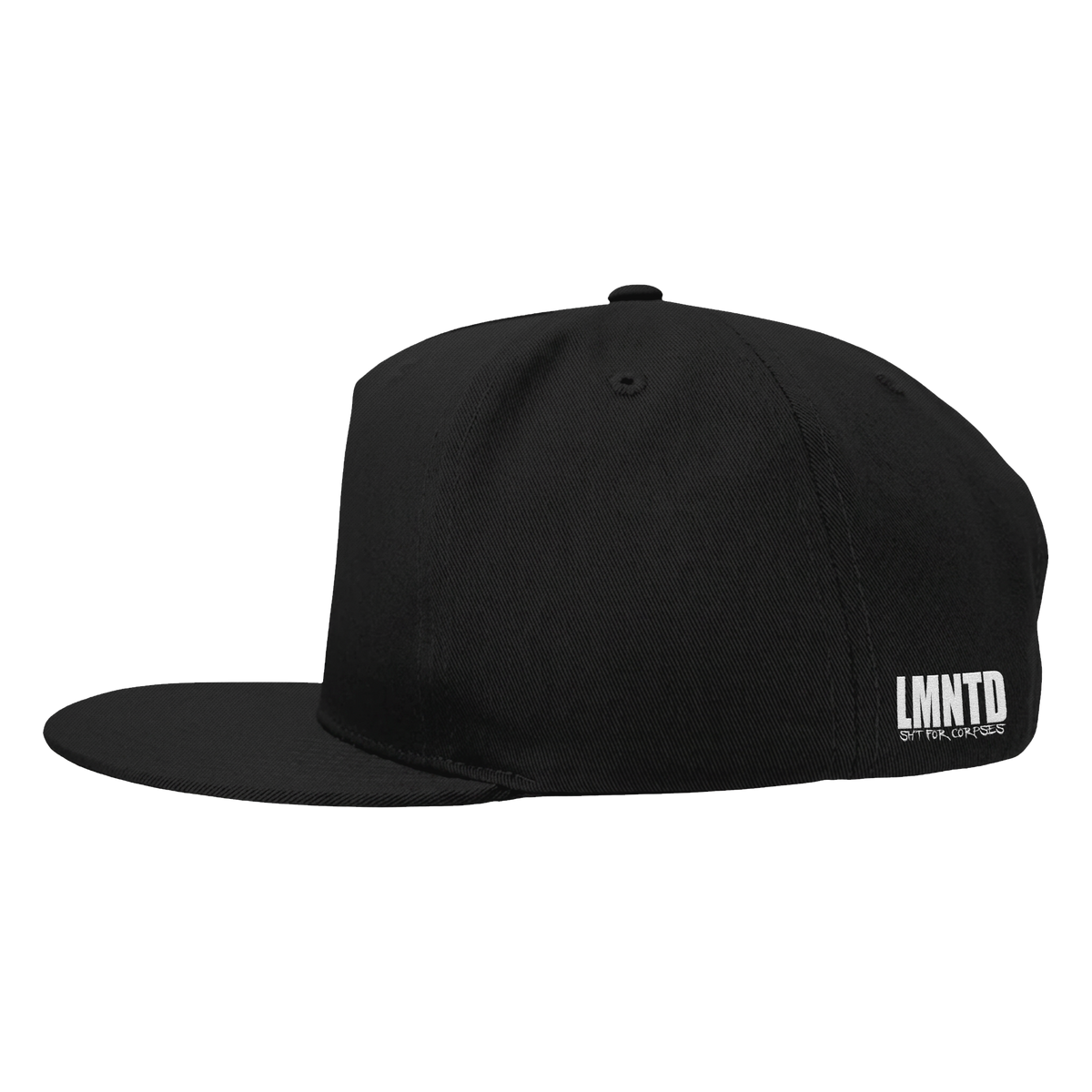 TRAINED TO GO - LOGO SNAPBACK