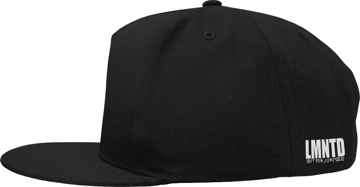 WAKING THE CADAVER - EMBRODIERED SNAPBACK